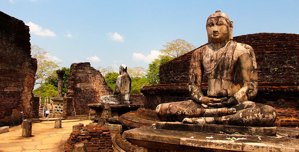 Tour privato dello Sri Lanka