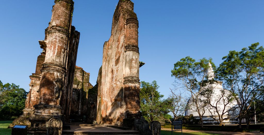 Tour privato dello Sri Lanka