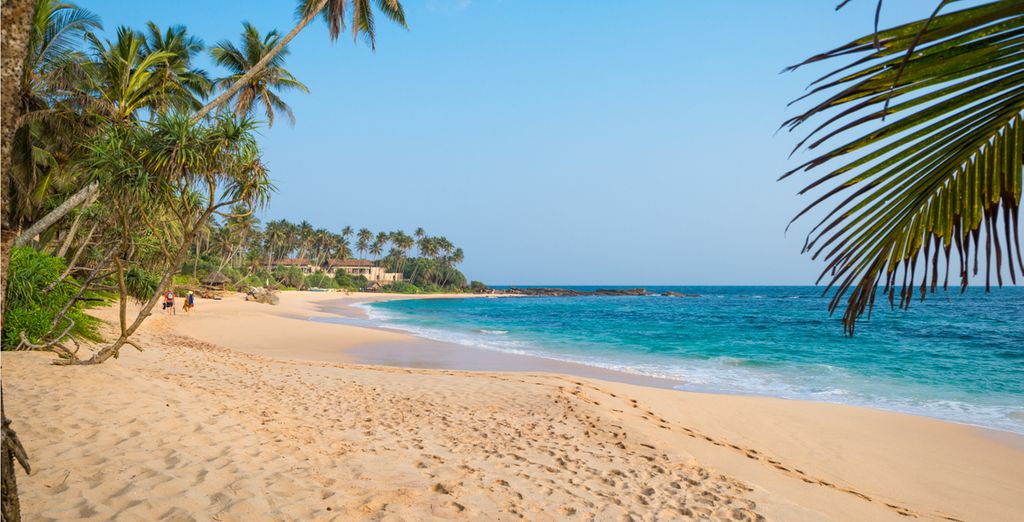 Tour privato dello Sri Lanka