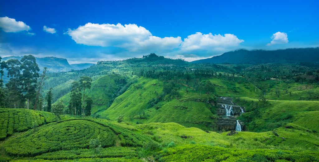 Tour privato dello Sri Lanka