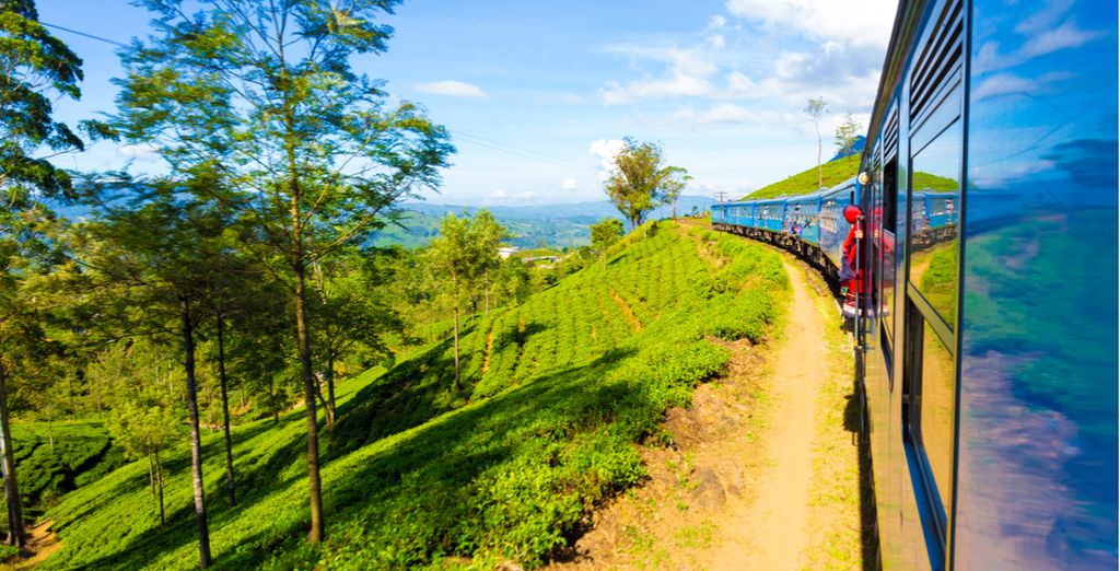 Tour privato dello Sri Lanka