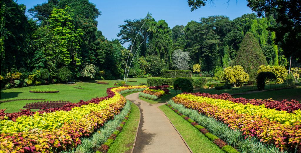 Tour privato dello Sri Lanka
