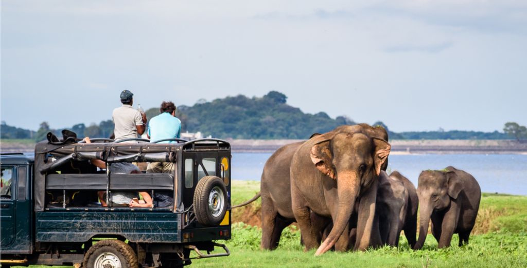 Tour privato dello Sri Lanka