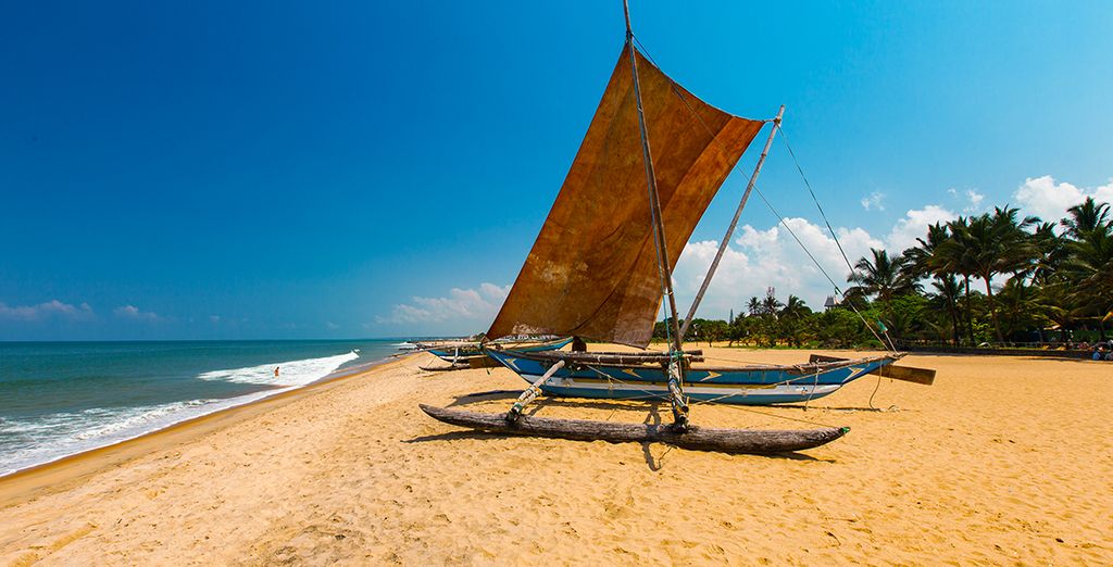 Tour privato dello Sri Lanka