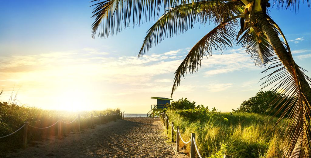 East Miami 5* con possibile crociera alle Bahamas