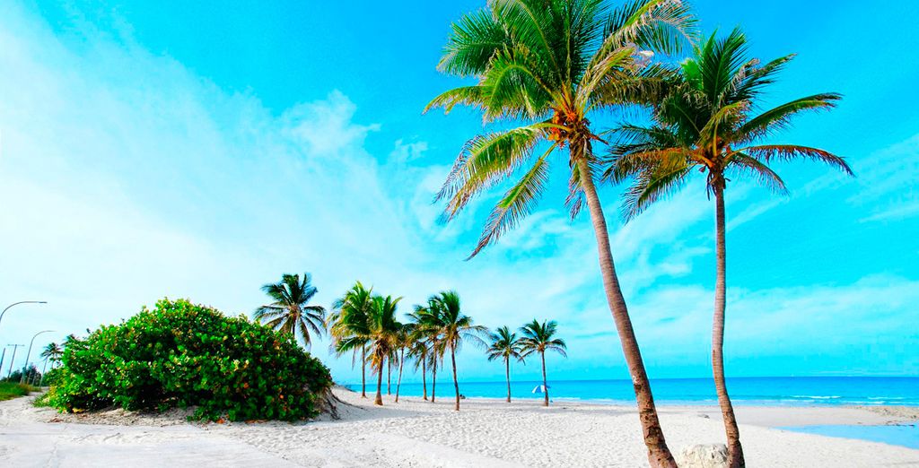 L'Avana e Trinidad in casa particular + Star Fish Cuatro Palmas 4* - Adults Only