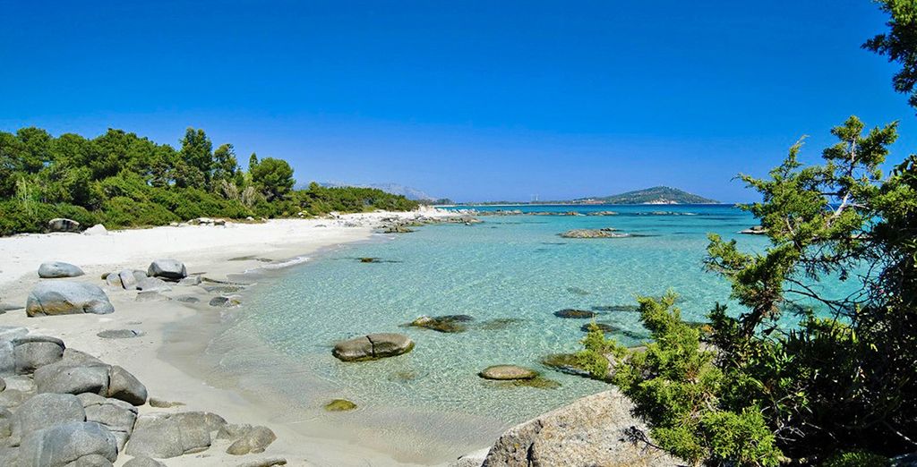 Suites Del Mare