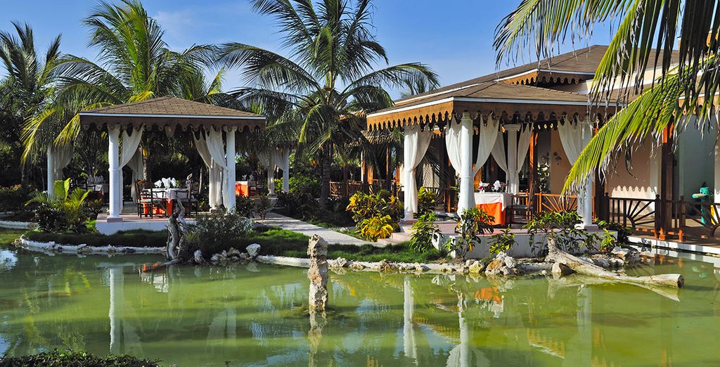Casas Particulares a L'Avana, Trinidad & Santa Clara + Melia Las Dunas Hotel 5*