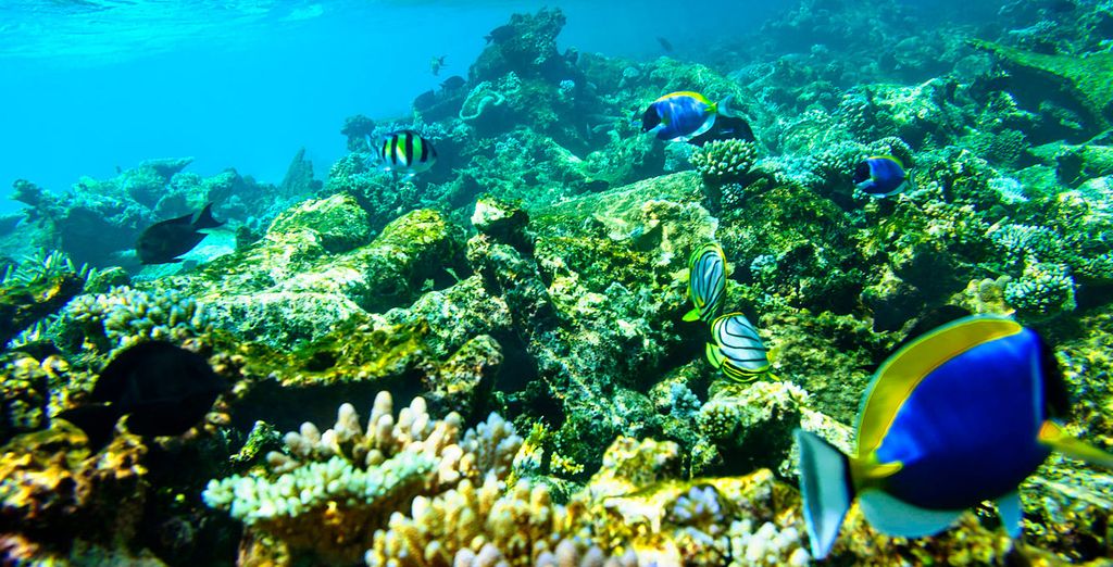 Robinson Club Maldives 4* con possibile soggiorno a Dubai