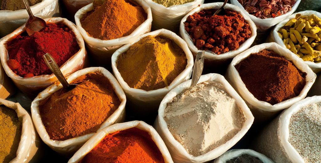 Tour privato di 9, 11 o 13 notti attraverso il Rajasthan