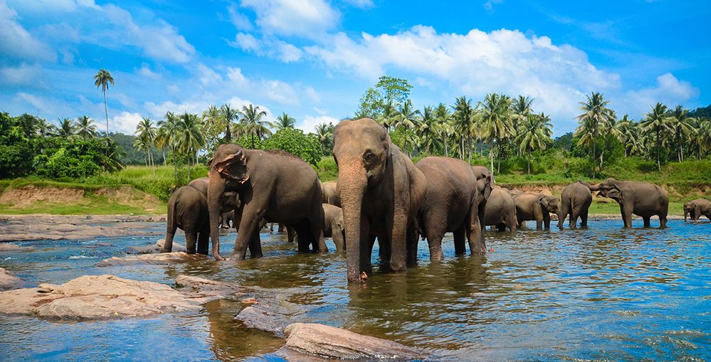 Tour Sri Lanka e soggiorno mare alle Maldive Adaaran Select Hudhuranfushi 4*
