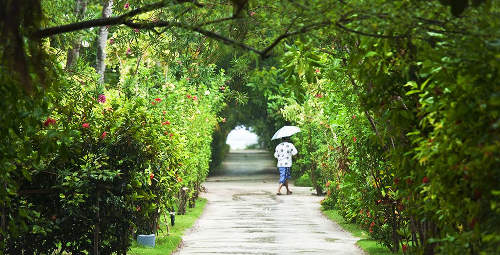 Tour Sri Lanka e soggiorno mare alle Maldive Adaaran Select Hudhuranfushi 4*