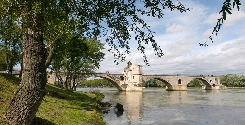 Provenza e Camargue lungo la valle del Rodano e della Saona