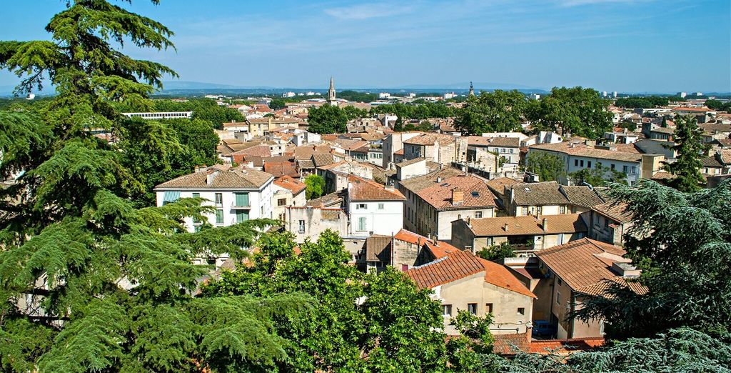 Provenza e Camargue lungo la valle del Rodano e della Saona