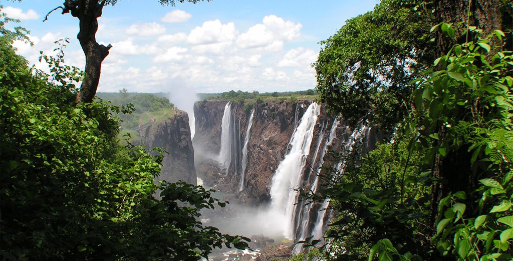 Essenza del Sudafrica