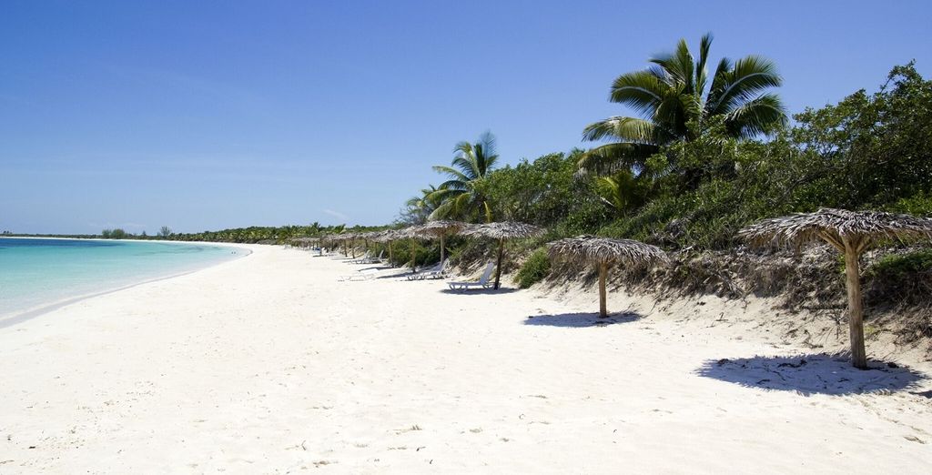 Casa Particular Superior a L'Avana e Vinales + Melia Internacional Varadero 5*