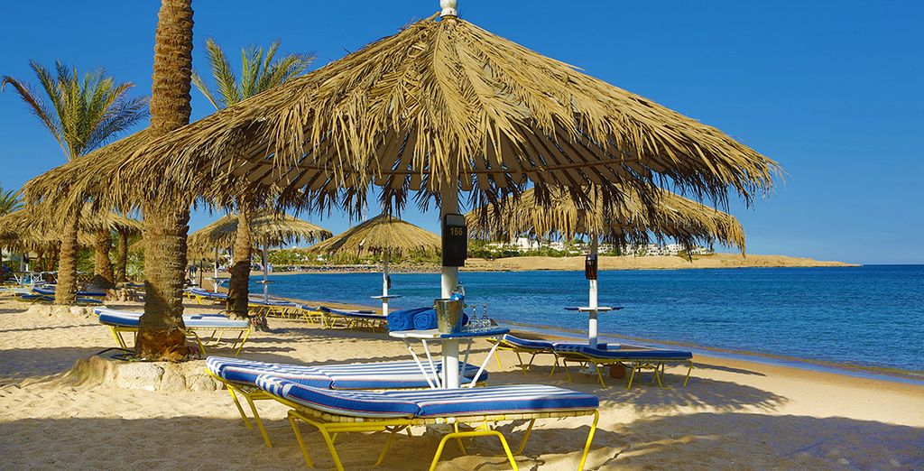 Fayrouz Resort Sharm El Sheikh 4*S