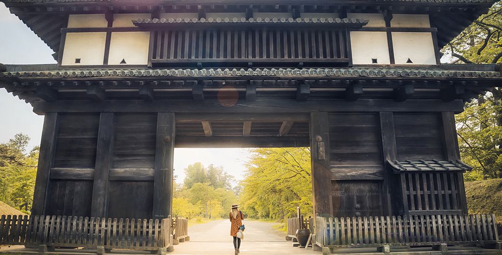 Giappone a 360° in crociera