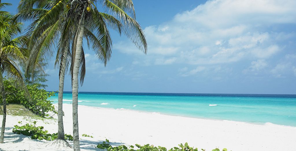 Melià Habana 5* + Paradisus Los Cayos 5*