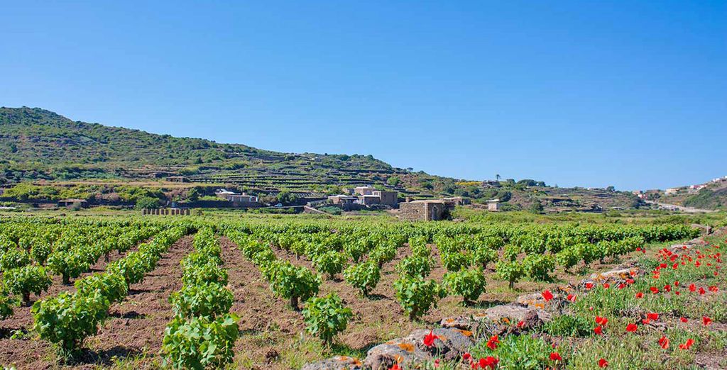 Esperienza di viaggio Pantelleria con escursioni
