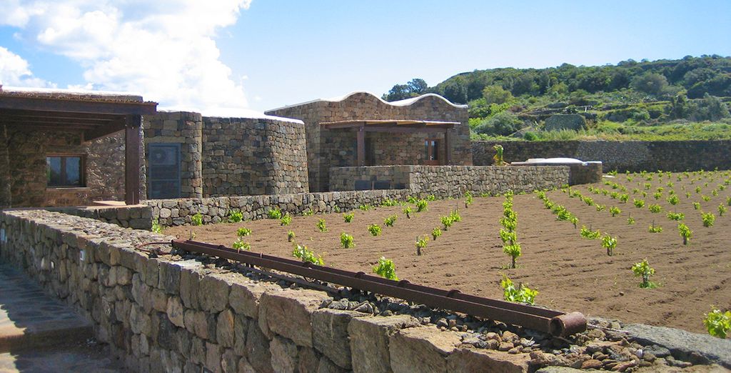 Esperienza di viaggio Pantelleria con escursioni