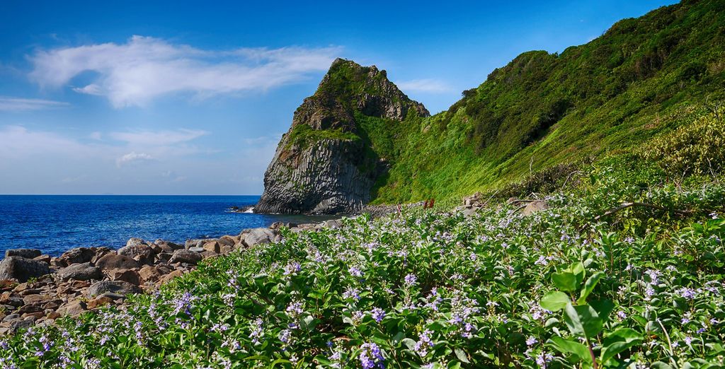 Promenade in Giappone: tra città e natura