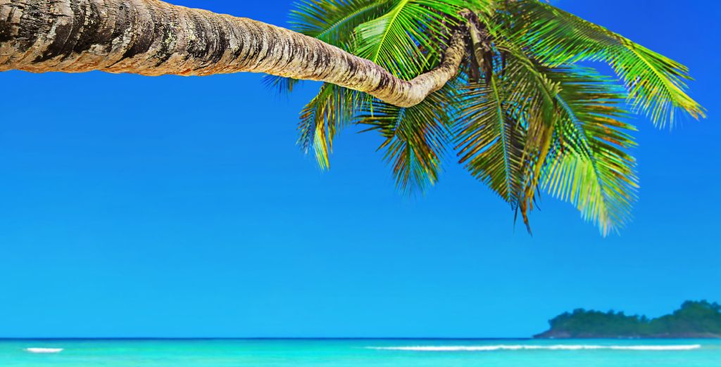 Crociera tra le isole Seychelles