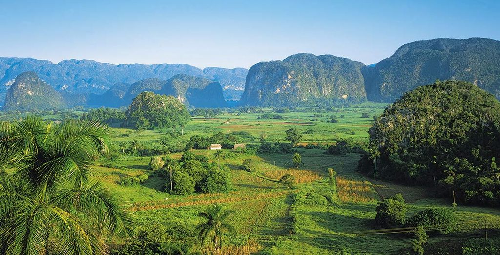 Casa Particular a L'Avana e Vinales + Dhawa Cayo Santa Maria 4*S