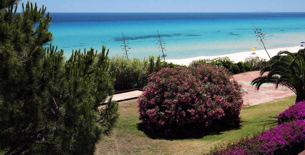Free Beach Club 4*