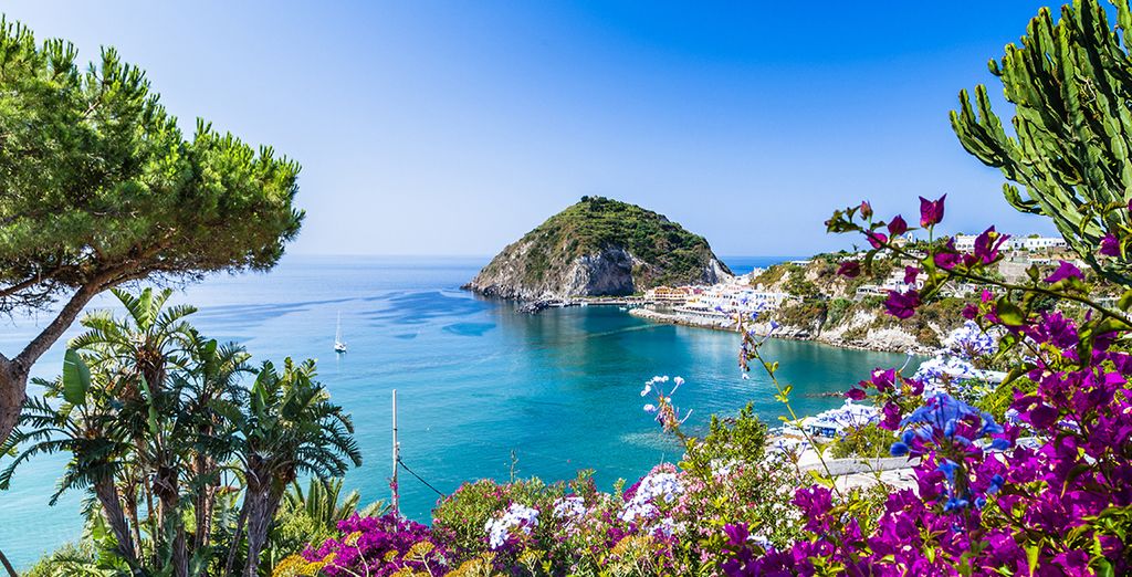 Ischia experience - Terme, gita in barca e noleggio scooter o auto