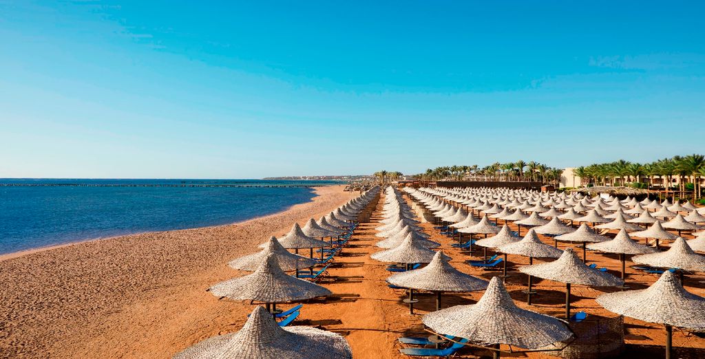 Jaz Mirabel Resort 5* o Iberotel Palace Sharm El Sheikh 5*