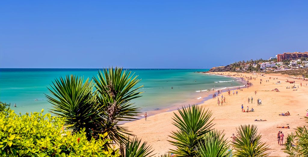 Hotel Taro Beach 4*