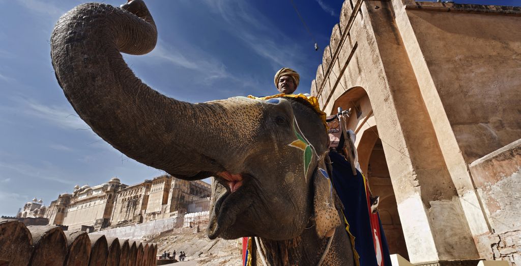 I tesori del Rajasthan