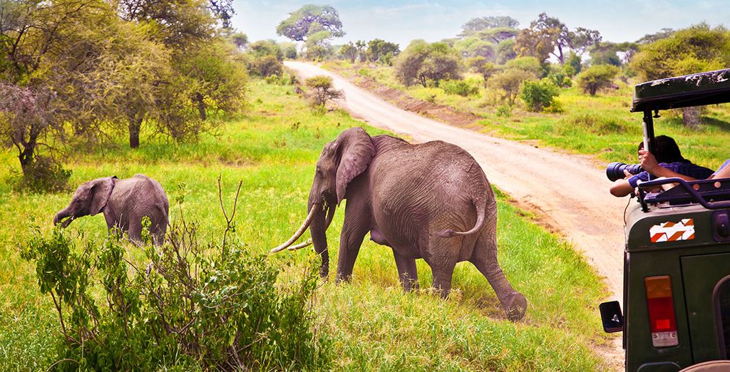 The Sands at Nomad Hotel 5* + Safari + The Sands At Chale Island 4* 