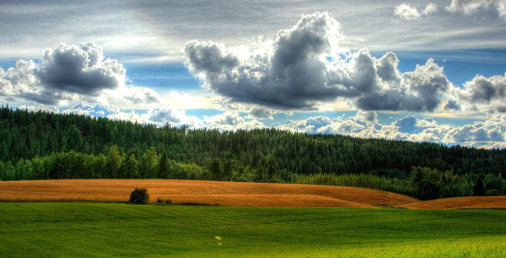 Fly & Drive Finlandia