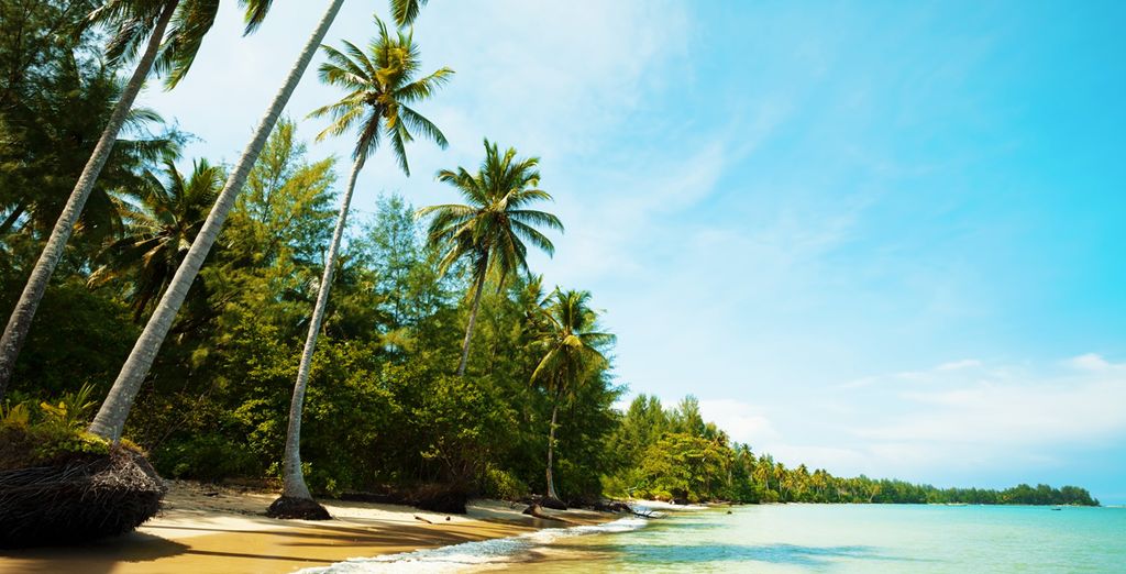 Center Point Chidlom 4* + Khao Lak Bhandari Resort & Spa 4*
