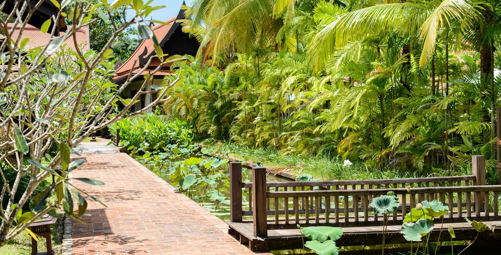 Center Point Chidlom 4* + Khao Lak Bhandari Resort & Spa 4*