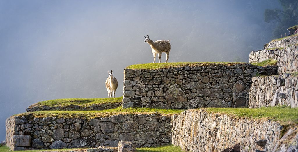 Tour Classico del Perù con guida parlante italiano
