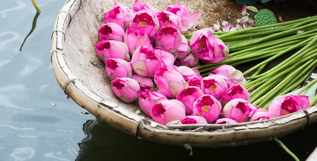 Tour privato del Vietnam con estensione mare a Ho Tram
