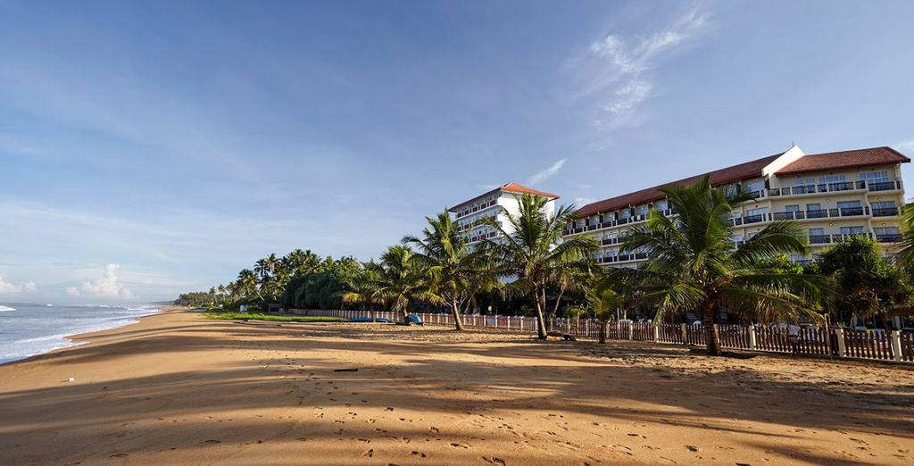 Tour privato alla scoperta delle meraviglie naturali dello Sri Lanka