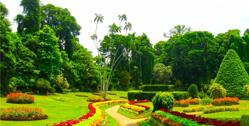 Tour privato alla scoperta delle meraviglie naturali dello Sri Lanka
