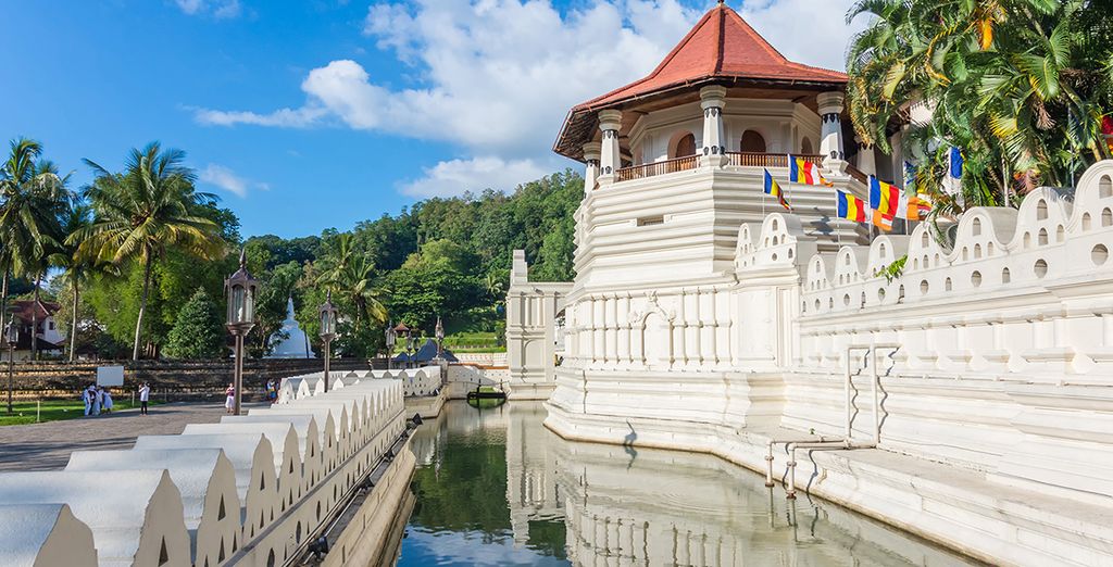 Tour privato alla scoperta delle meraviglie naturali dello Sri Lanka