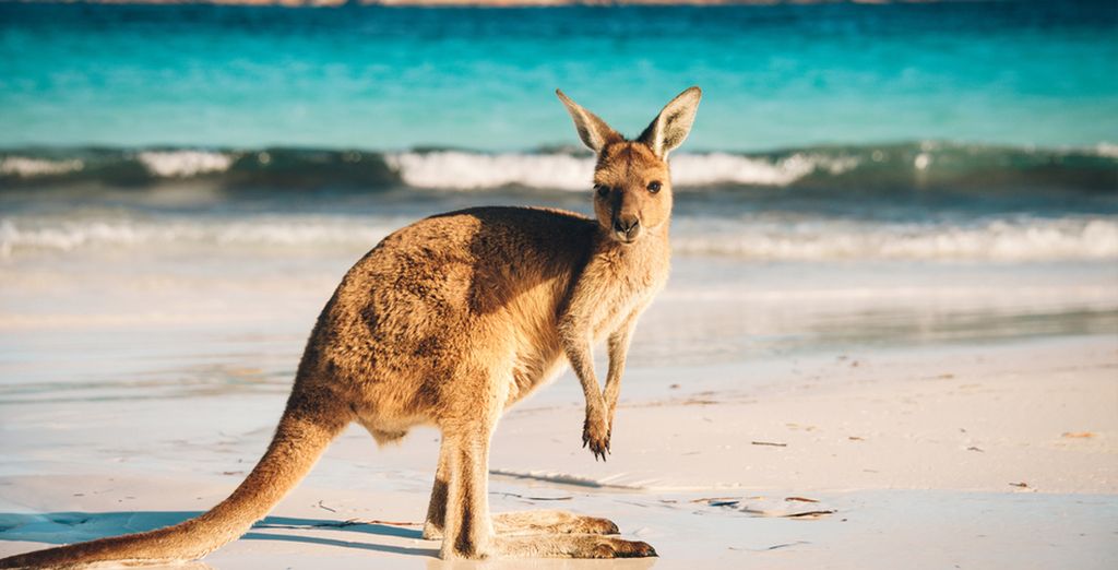Tour dell'Australia tra metropoli e deserto