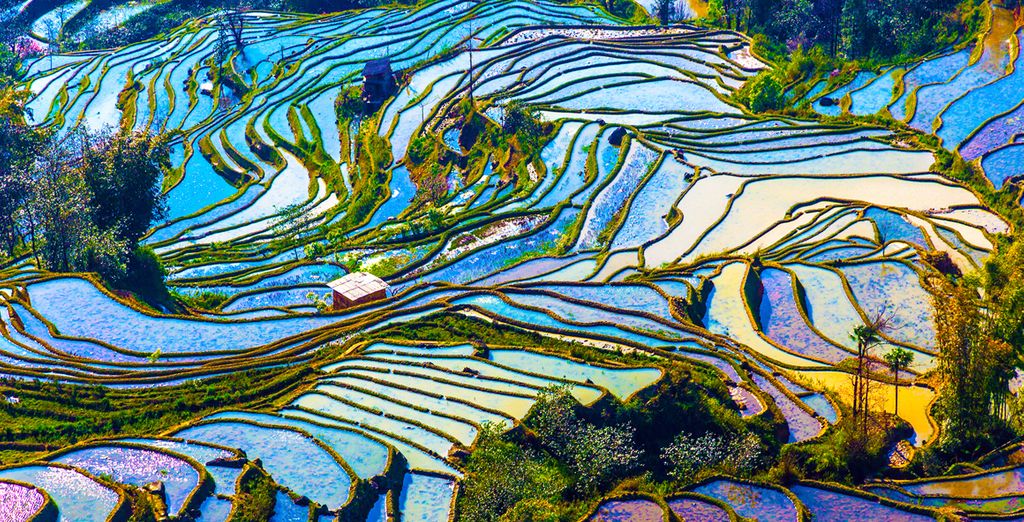 Tour i colori dello Yunnan in hotel 4* e 5*