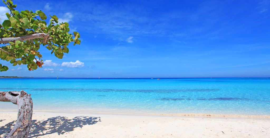 Hotel Playa Pesquero