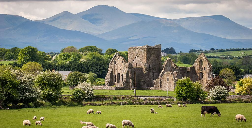 Speciale Agosto - Tour Irlanda