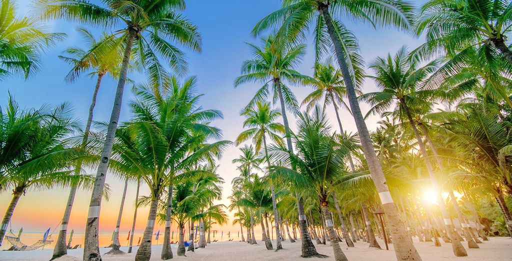 Circuito tra le lagune + South Palms Resort 4*