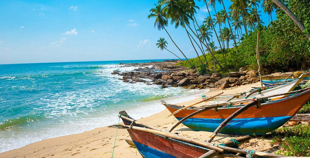 Tour Sri Lanka con soggiorno mare o Dubai