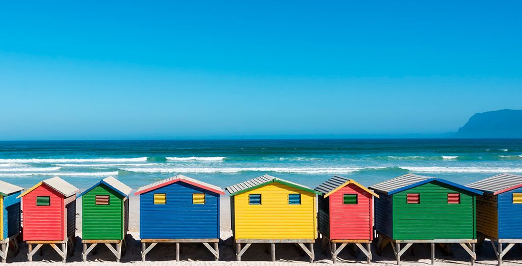 Alla scoperta di Cape Town