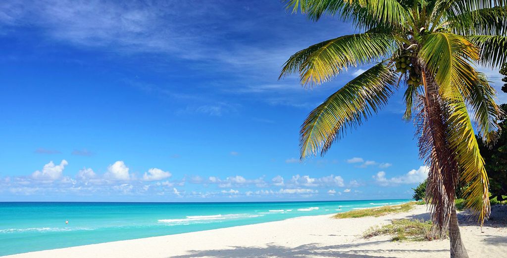 Melià Habana 5* + Melia Internacional Varadero 5*